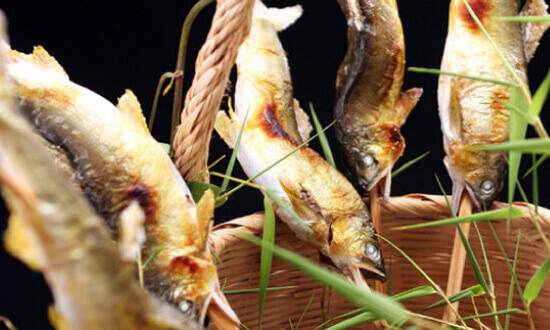 追加料理