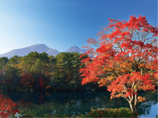 Urabandai / Lake Hibara / Goshikinuma Lake